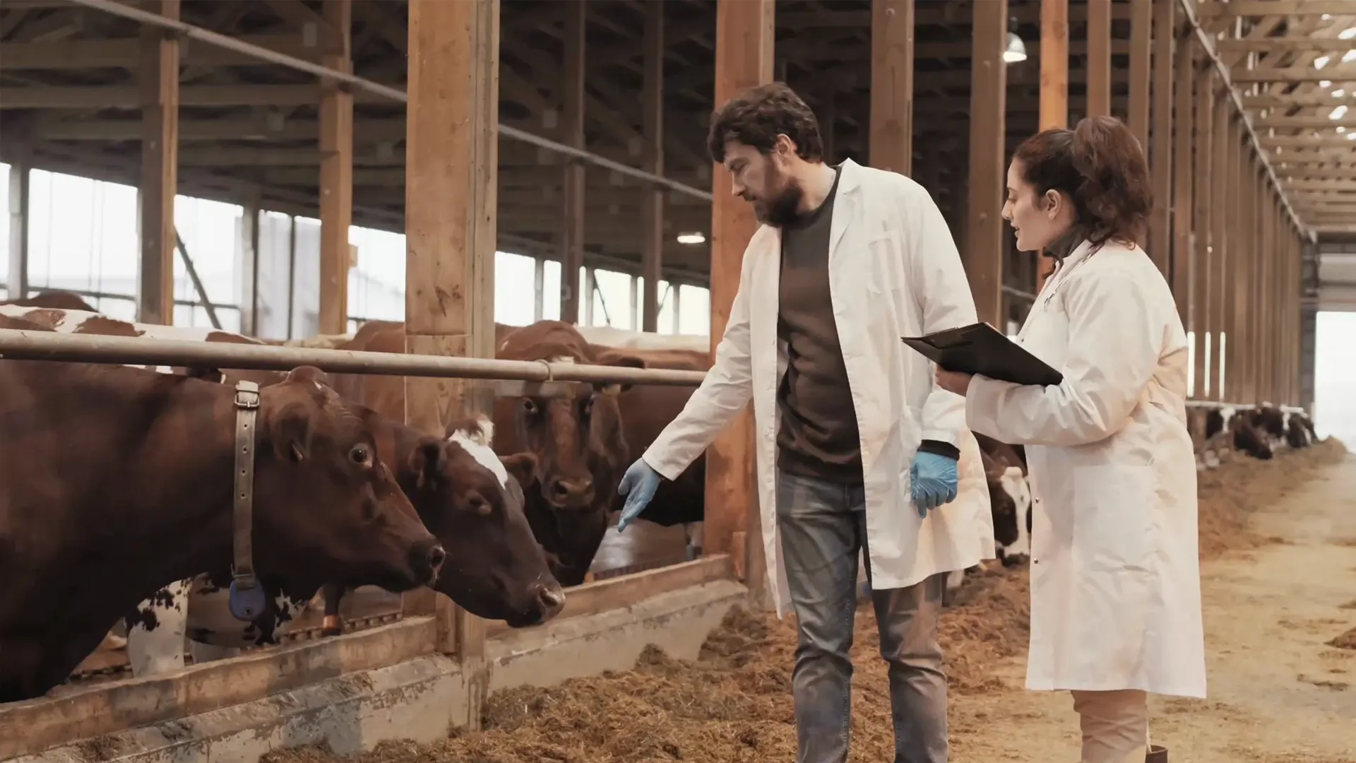 Animal Husbandry Technology Solutions