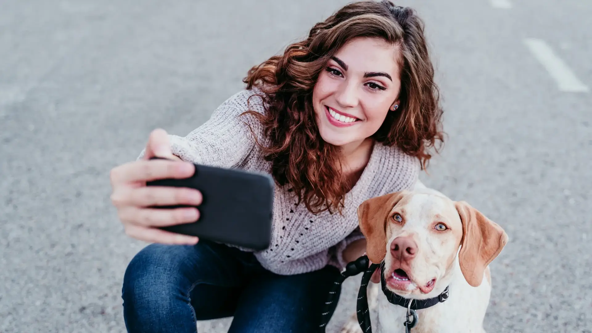 Top 10 Best iOS & Android Apps for Dog Owners, USA