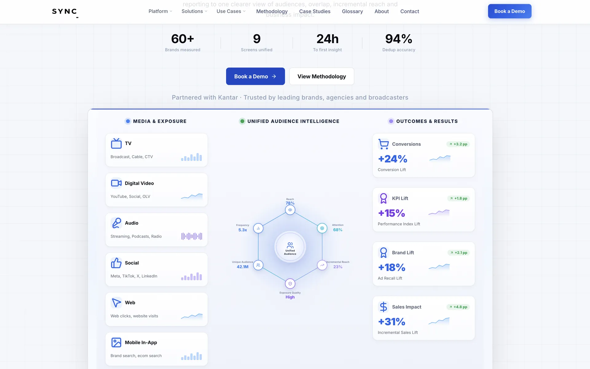 Software Development for modern AI advertising