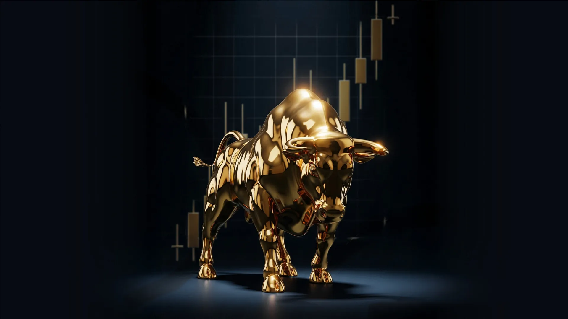 Investment & Asset Management